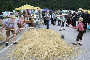 23.Oö Ortsbildmesse in Engelhartszell an der Donau (Quelle: Franz Linschinger, Land OÖ)