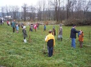 Moosbach Schulwald Bepflanzung (Quelle: Gemeinde Moosbach)