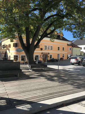 Neumarkt i.M., Baum am Ortsplatz (Quelle: Land OÖ)