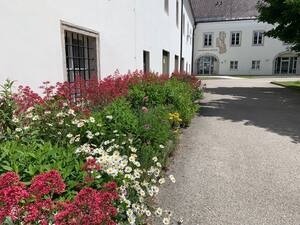 Pettenbach, Begrünung im Hof (Quelle: Land OÖ)