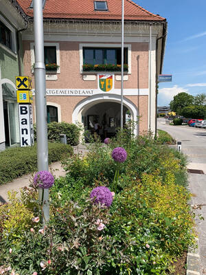 Pettenbach, Bepflanzung vor dem Gemeindeamt (Quelle: Land OÖ)