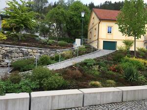 Weitersfelden Bepflanzung hinter Kirche (Quelle: Land OÖ)